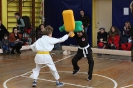 Осенний турнир-открытие соревновательного сезона школы боевых искусств TOITSU RYU_8